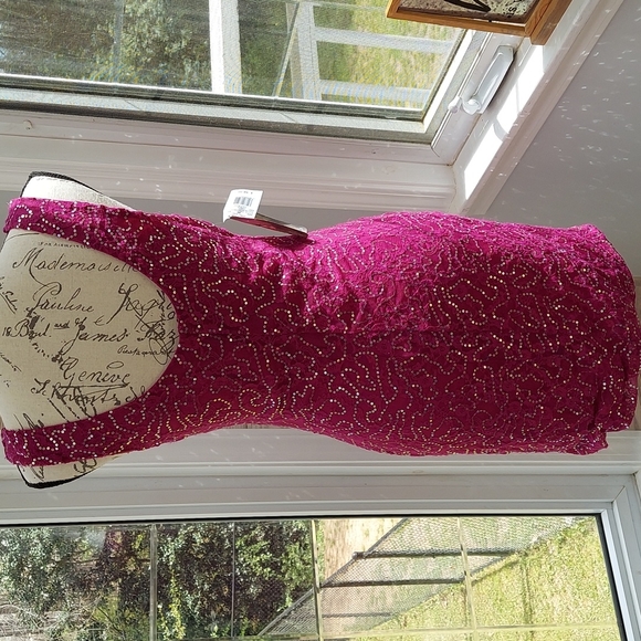 Lily Rose sleeveless dress size large - Picture 4 of 6